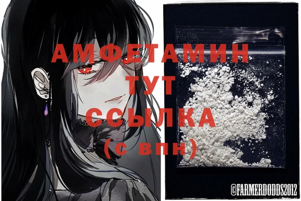 стафф Зеленодольск