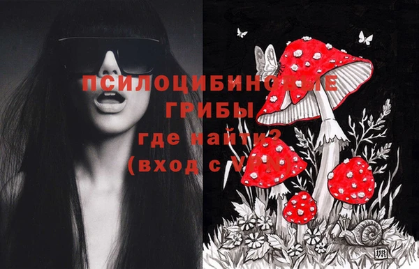 стафф Зеленодольск