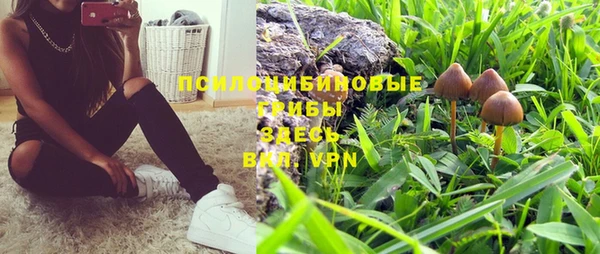 стафф Зеленодольск