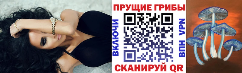 Псилоцибиновые грибы прущие грибы  где купить   Ишимбай 